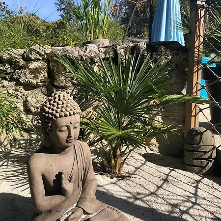 住宿加早餐酒店 D'hotes La Detente - Domaine La Rose Des Vents 奥维河畔卡斯泰尔诺